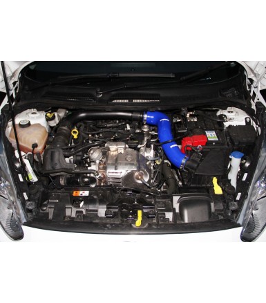MANGUITO ADMISION PRO HOSES FIESTA 1.0 ECOBOOST