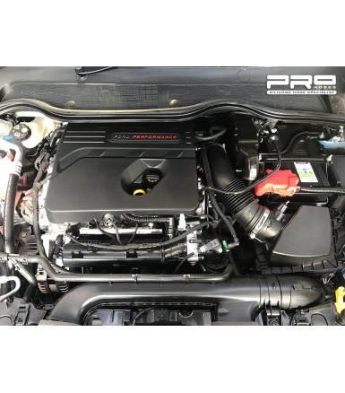 MANGUITO ADMISION PRO HOSES FIESTA MK8 ST-200